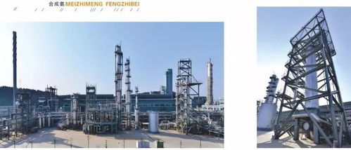 四川美豐一項關(guān)鍵化工工藝通過科技成果鑒定，引領(lǐng)行業(yè)綠色高效發(fā)展