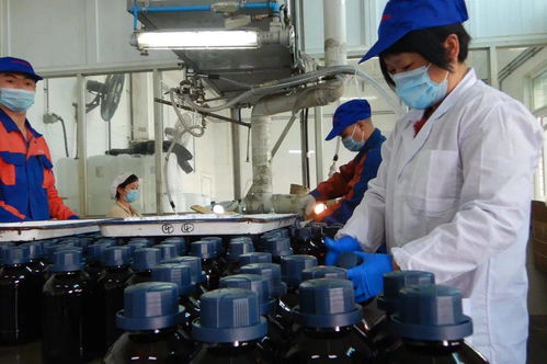 光華科技榮獲“全國石油和化學(xué)工業(yè)先進(jìn)集體”稱號，彰顯化工技術(shù)創(chuàng)新硬實(shí)力