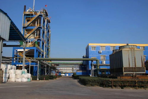 科技引領(lǐng) 創(chuàng)新驅(qū)動 以省第十五次黨代會精神為指引，推進(jìn)化工技術(shù)升級與高質(zhì)量發(fā)展